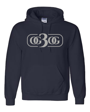 Navy and Silver Hoodie