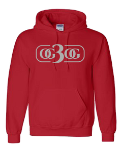 Red and Silver Hoodie
